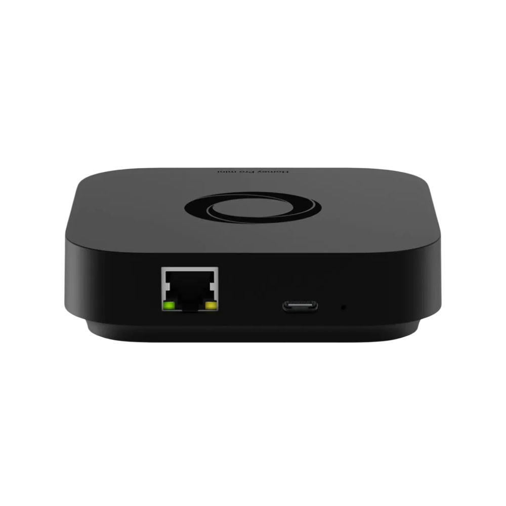 Homey Pro mini