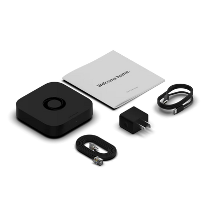 Homey Pro mini