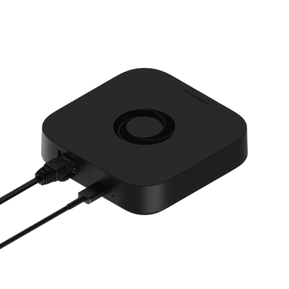 Homey Pro mini