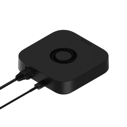 Homey Pro mini
