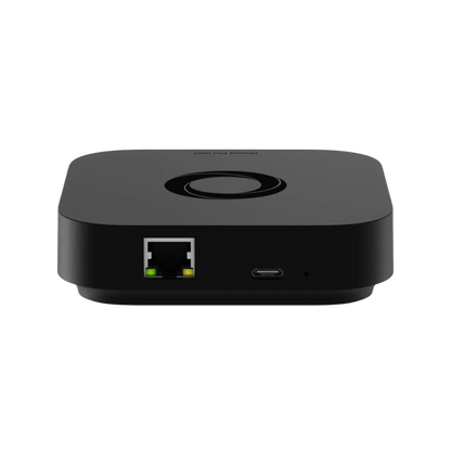 Homey Pro mini